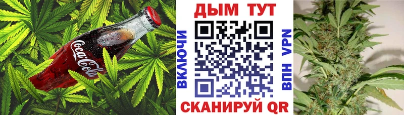 ОМГ ОМГ   Дзержинск  Cannafood конопля 