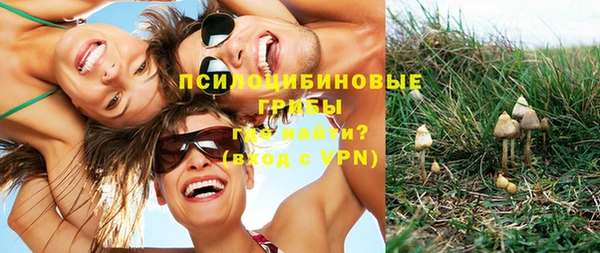 не бодяженный Сясьстрой