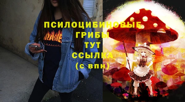 таблы Тавда