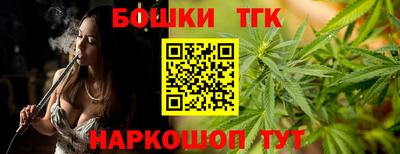 прущие грибы Будённовск