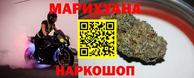 прущие грибы Будённовск