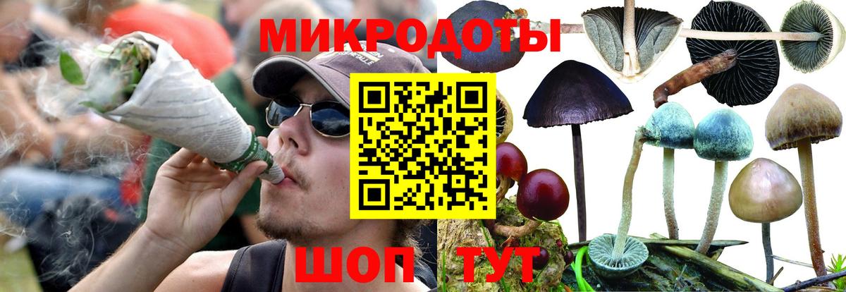 Галлюциногенные грибы GOLDEN TEACHER Дзержинск